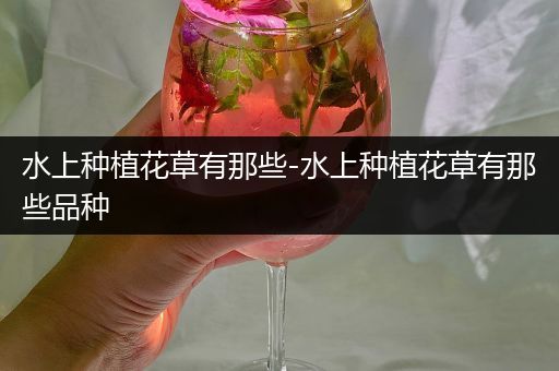 水上种植花草有那些-水上种植花草有那些品种