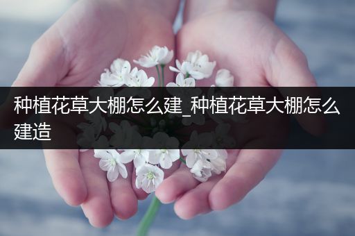 种植花草大棚怎么建_种植花草大棚怎么建造
