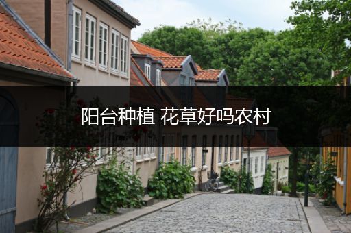 阳台种植 花草好吗农村