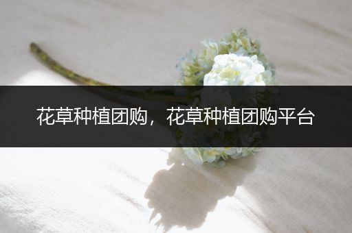 花草种植团购，花草种植团购平台
