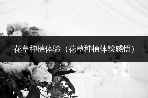 花草种植体验（花草种植体验感悟）