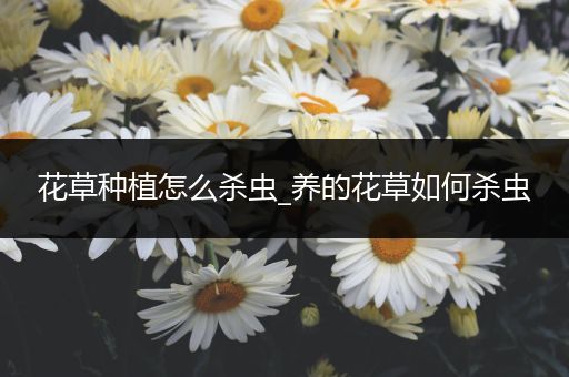 花草种植怎么杀虫_养的花草如何杀虫