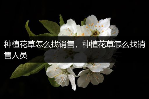 种植花草怎么找销售，种植花草怎么找销售人员