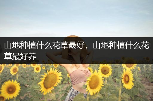 山地种植什么花草最好，山地种植什么花草最好养