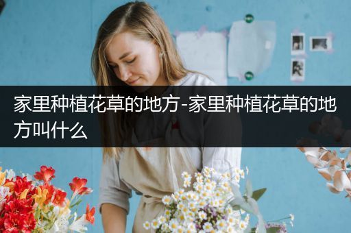 家里种植花草的地方-家里种植花草的地方叫什么