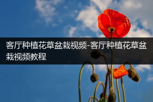 客厅种植花草盆栽视频-客厅种植花草盆栽视频教程