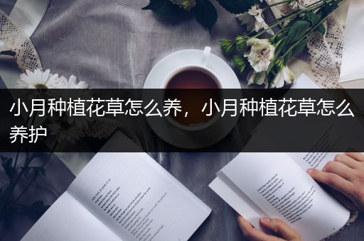 小月种植花草怎么养，小月种植花草怎么养护