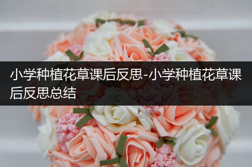 小学种植花草课后反思-小学种植花草课后反思总结