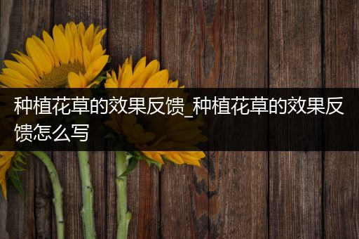 种植花草的效果反馈_种植花草的效果反馈怎么写