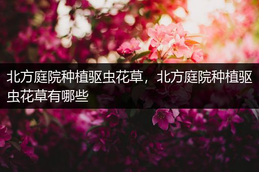 北方庭院种植驱虫花草，北方庭院种植驱虫花草有哪些