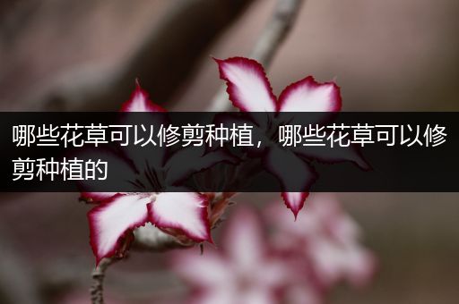 哪些花草可以修剪种植，哪些花草可以修剪种植的