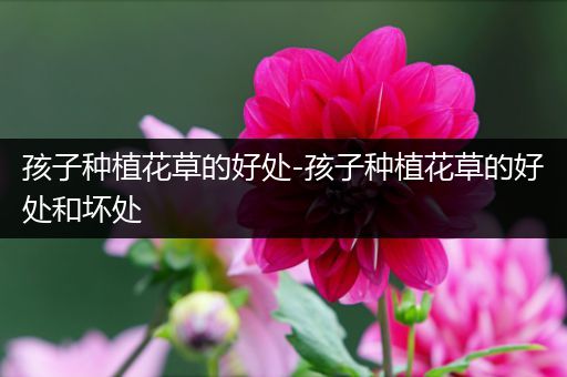 孩子种植花草的好处-孩子种植花草的好处和坏处