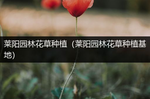 莱阳园林花草种植（莱阳园林花草种植基地）
