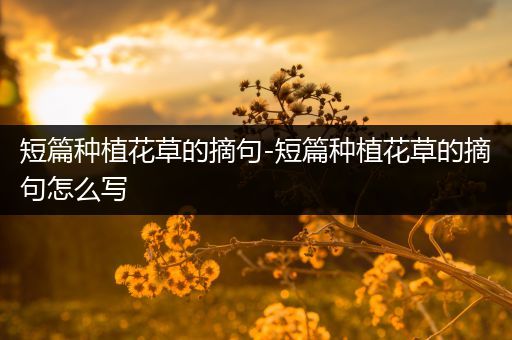 短篇种植花草的摘句-短篇种植花草的摘句怎么写