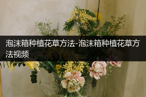 泡沫箱种植花草方法-泡沫箱种植花草方法视频