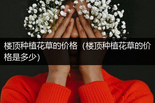 楼顶种植花草的价格（楼顶种植花草的价格是多少）