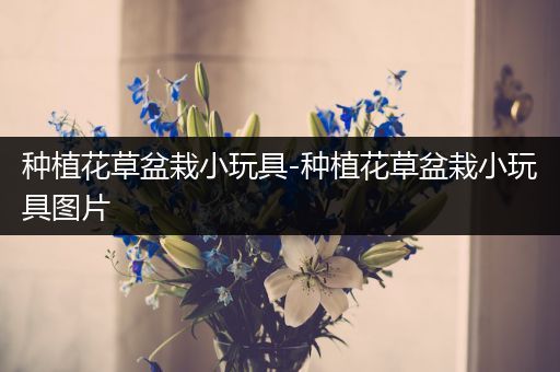 种植花草盆栽小玩具-种植花草盆栽小玩具图片