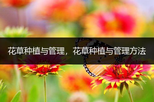 花草种植与管理，花草种植与管理方法