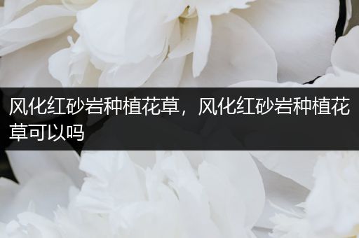 风化红砂岩种植花草，风化红砂岩种植花草可以吗