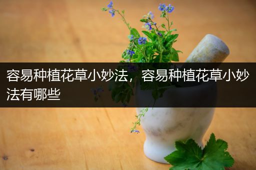 容易种植花草小妙法，容易种植花草小妙法有哪些