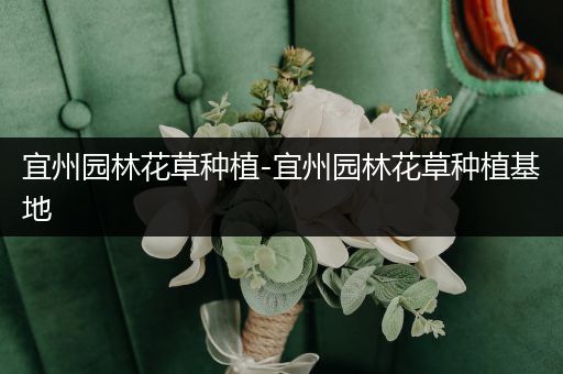 宜州园林花草种植-宜州园林花草种植基地