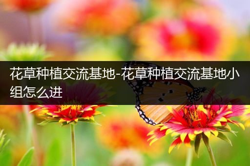 花草种植交流基地-花草种植交流基地小组怎么进