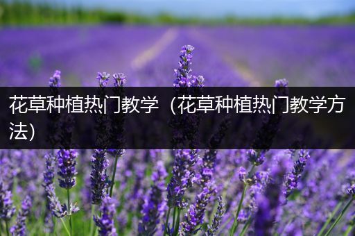花草种植热门教学（花草种植热门教学方法）