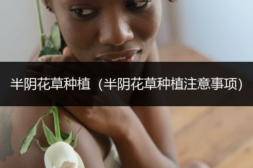半阴花草种植（半阴花草种植注意事项）