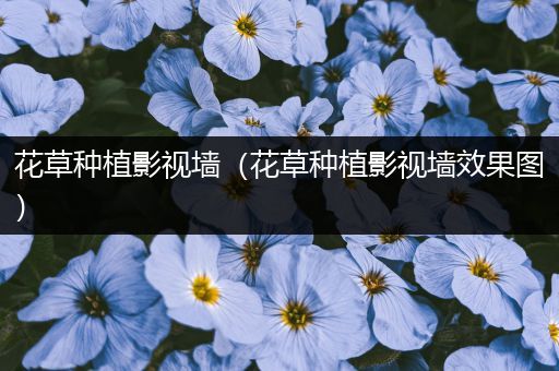 花草种植影视墙（花草种植影视墙效果图）