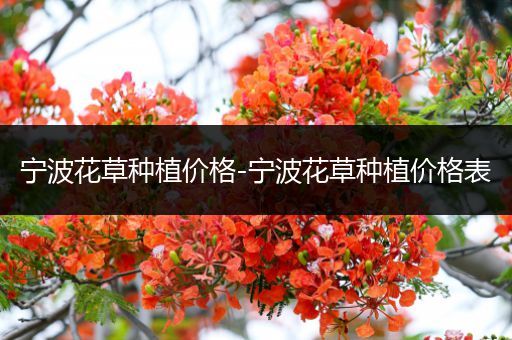 宁波花草种植价格-宁波花草种植价格表