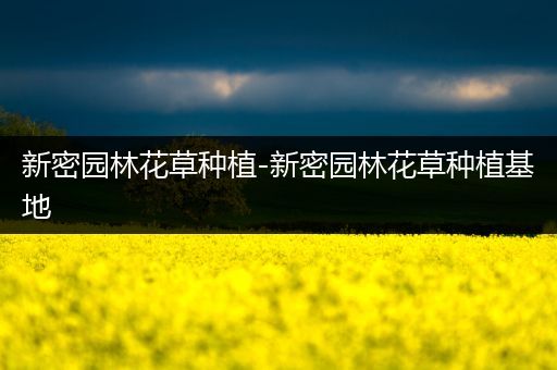 新密园林花草种植-新密园林花草种植基地