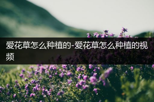 爱花草怎么种植的-爱花草怎么种植的视频