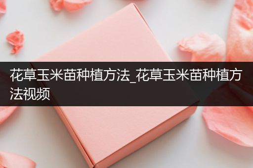 花草玉米苗种植方法_花草玉米苗种植方法视频