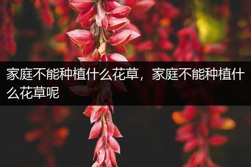 家庭不能种植什么花草，家庭不能种植什么花草呢