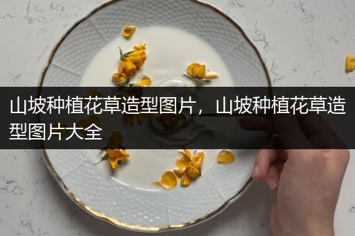 山坡种植花草造型图片，山坡种植花草造型图片大全
