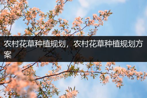 农村花草种植规划，农村花草种植规划方案