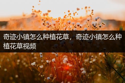 奇迹小镇怎么种植花草，奇迹小镇怎么种植花草视频