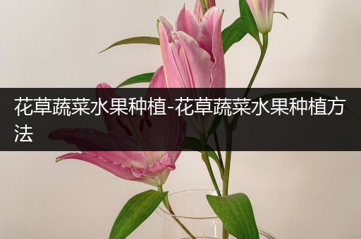 花草蔬菜水果种植-花草蔬菜水果种植方法