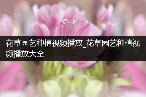 花草园艺种植视频播放_花草园艺种植视频播放大全