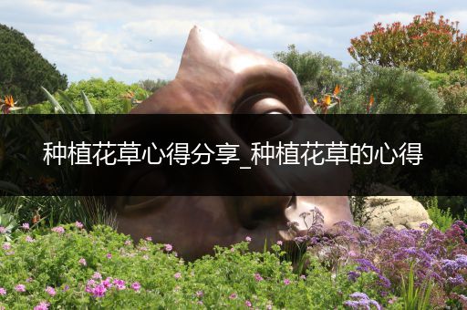 种植花草心得分享_种植花草的心得