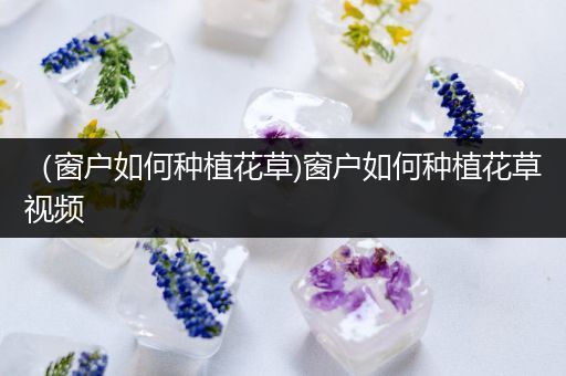 （窗户如何种植花草)窗户如何种植花草视频