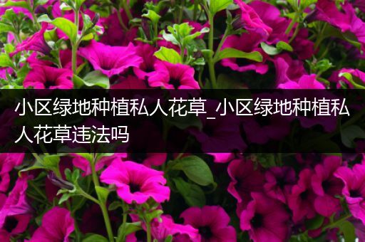 小区绿地种植私人花草_小区绿地种植私人花草违法吗