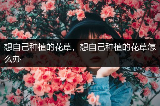 想自己种植的花草，想自己种植的花草怎么办