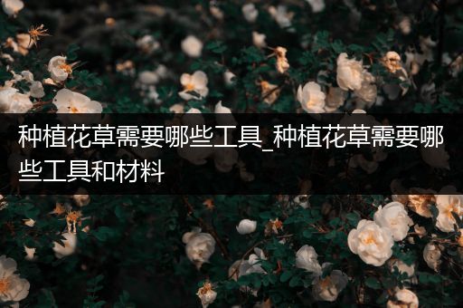 种植花草需要哪些工具_种植花草需要哪些工具和材料