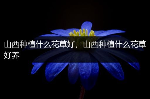 山西种植什么花草好，山西种植什么花草好养