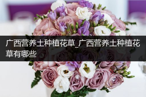 广西营养土种植花草_广西营养土种植花草有哪些