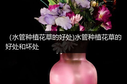 （水管种植花草的好处)水管种植花草的好处和坏处