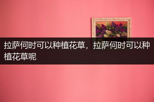 拉萨何时可以种植花草，拉萨何时可以种植花草呢