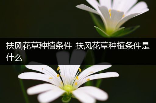 扶风花草种植条件-扶风花草种植条件是什么
