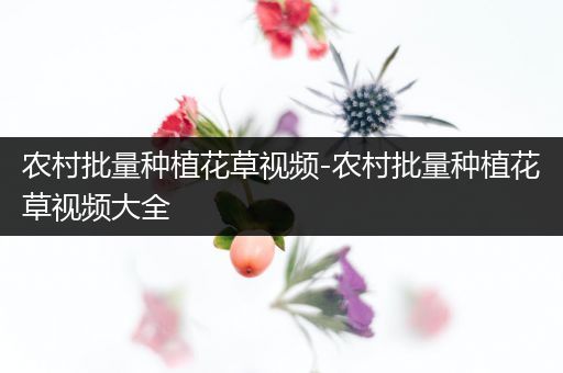 农村批量种植花草视频-农村批量种植花草视频大全